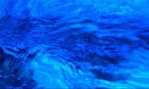 Surface Agitation in a Saltwater Aquarium