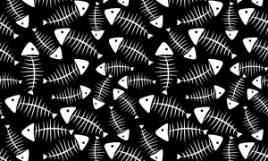 Fish Skeletons